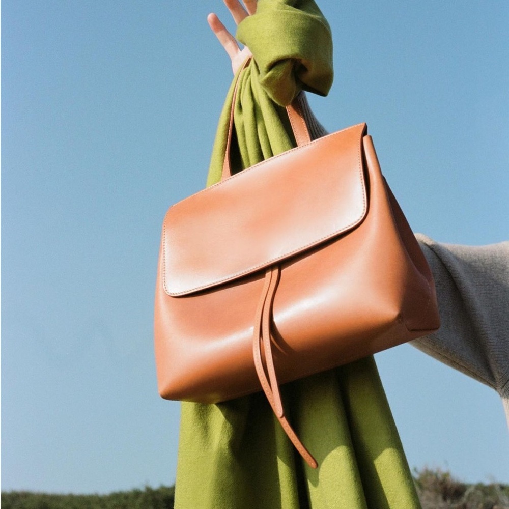 Mansur Gavriel Lady Bag